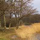 lignac (36)