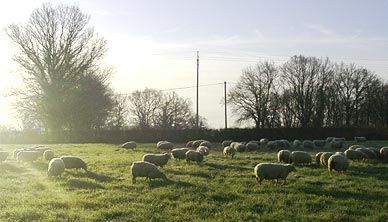 la charmoise